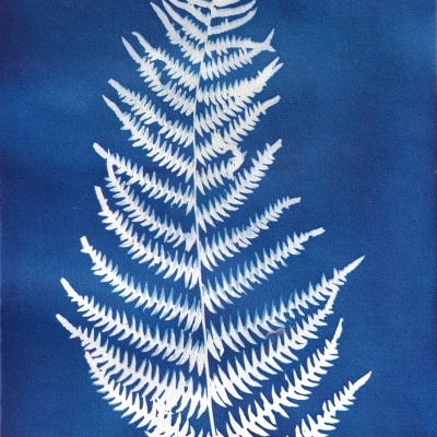 ORIGINAL "SER SOMBRA UM" CLÁUDIA SALGUEIRO