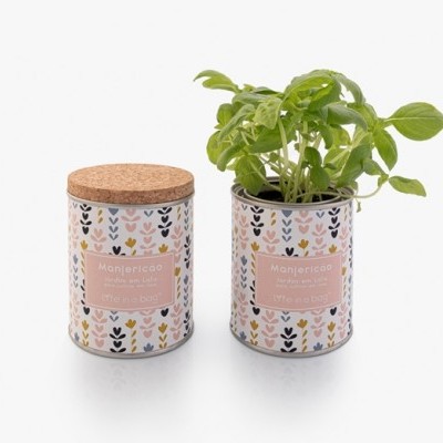 JARDIM EM LATA - Modern - MANJERICÃO