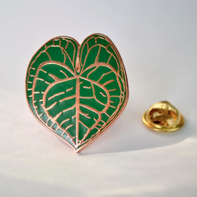 PIN ANTHURIUM CLARINERVIUM LEAF PLANTYINTROVERTS