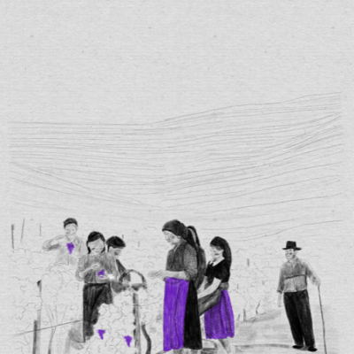 ILUSTRAÇÃO "VINDIMA" MARTA NUNES