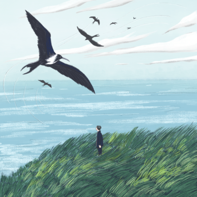 ILUSTRAÇÃO "FRIGATE" BARBARA AMARAL