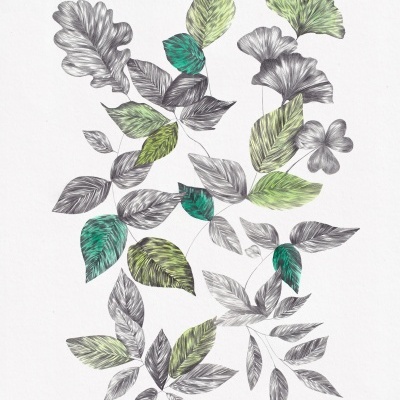 ORIGINAL "VERDE BOSQUE" CLÁUDIA SALGUEIRO