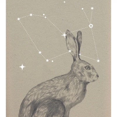 ILUSTRAÇÃO "VIAGEM MAIOR - LEPUS" CLÁUDIA SALGUEIRO