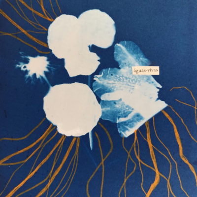 ORIGINAL "ÁGUAS VIVAS" FUFA LÍRICA