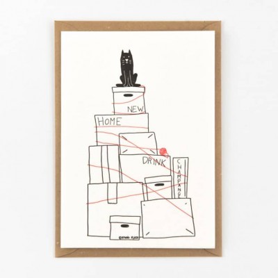 POSTAL "MOVING THE CAT" STUDIO FLASH