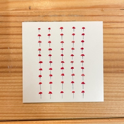 AUTOCOLANTE "50 ANOS, 50 CRAVOS" MARIA REIS ROCHA