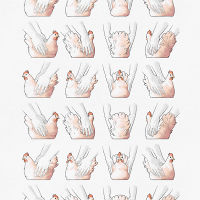 ILUSTRAÇÃO "MUITOS ANOS A VIRAR FRANGOS" FRANK O MUDO