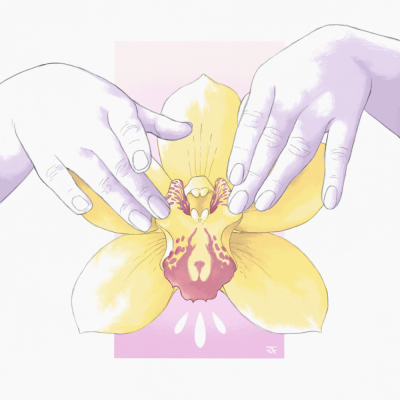 ILUSTRAÇÃO "AFLORISÍACO III" FRANK O MUDO