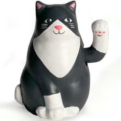 SOLAR CAT KIKKERLAND