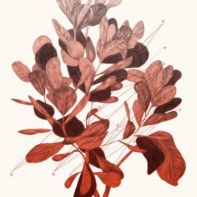 ILUSTRAÇÃO VERMELHO "GEOMETRIA DE UMA ÁRVORE" CLÁUDIA SALGUEIRO