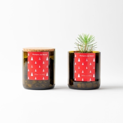 BOTTLE GARDEN - Pinheiro (Vermelho)