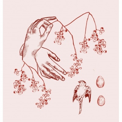 ILUSTRAÇÃO "HABITAR A MISTURA" KARLA RUAS