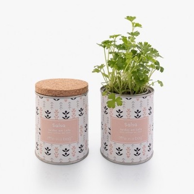 JARDIM EM LATA - Modern - SALSA