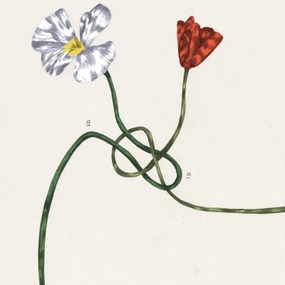 ILUSTRAÇÃO "EMPATIA" CLAUDIA SALGUEIRO