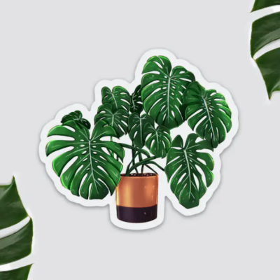 ÍMAN VASO MONSTERA DELICIOSA PLANTYINTROVERTS