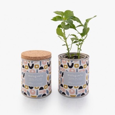 JARDIM EM LATA - Modern - Malagueta