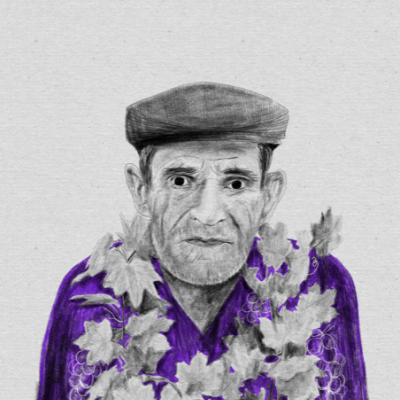 ILUSTRAÇÃO "HERCULANO" MARTA NUNES