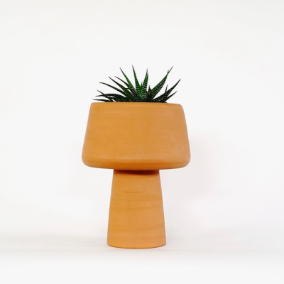 Cachepot Conterrâneo VICARA