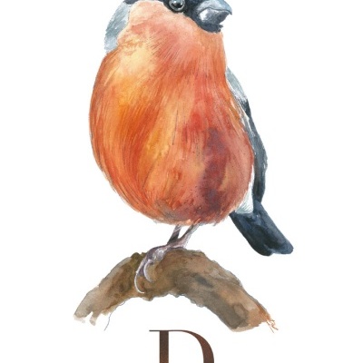 ILUSTRAÇÃO "D" ANA RITA ROBALO