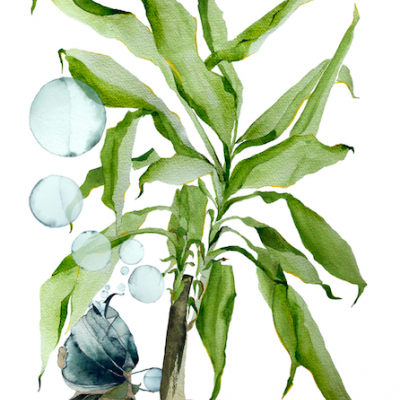 ILUSTRAÇÃO "A FADA DA PROTECÇÃO" MARIA ROCHA