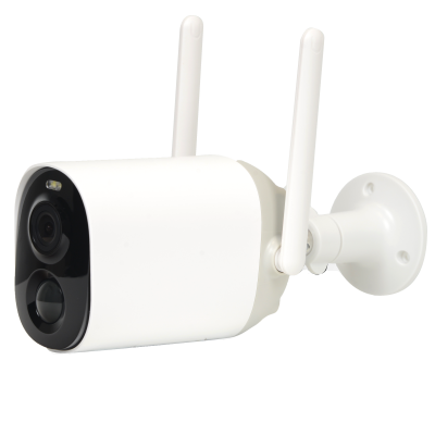 CG7 Câmara IP 2Mpx VicoHome