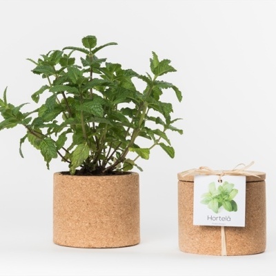 Grow Cork Hortelã