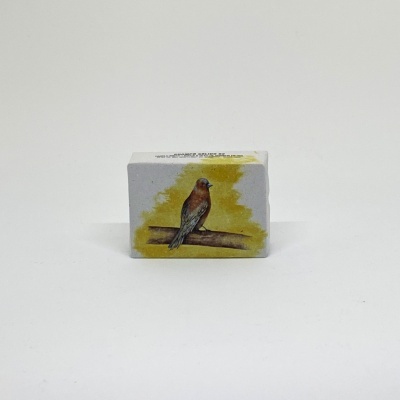 Champô Sólido Azeite e Grainha de Uva