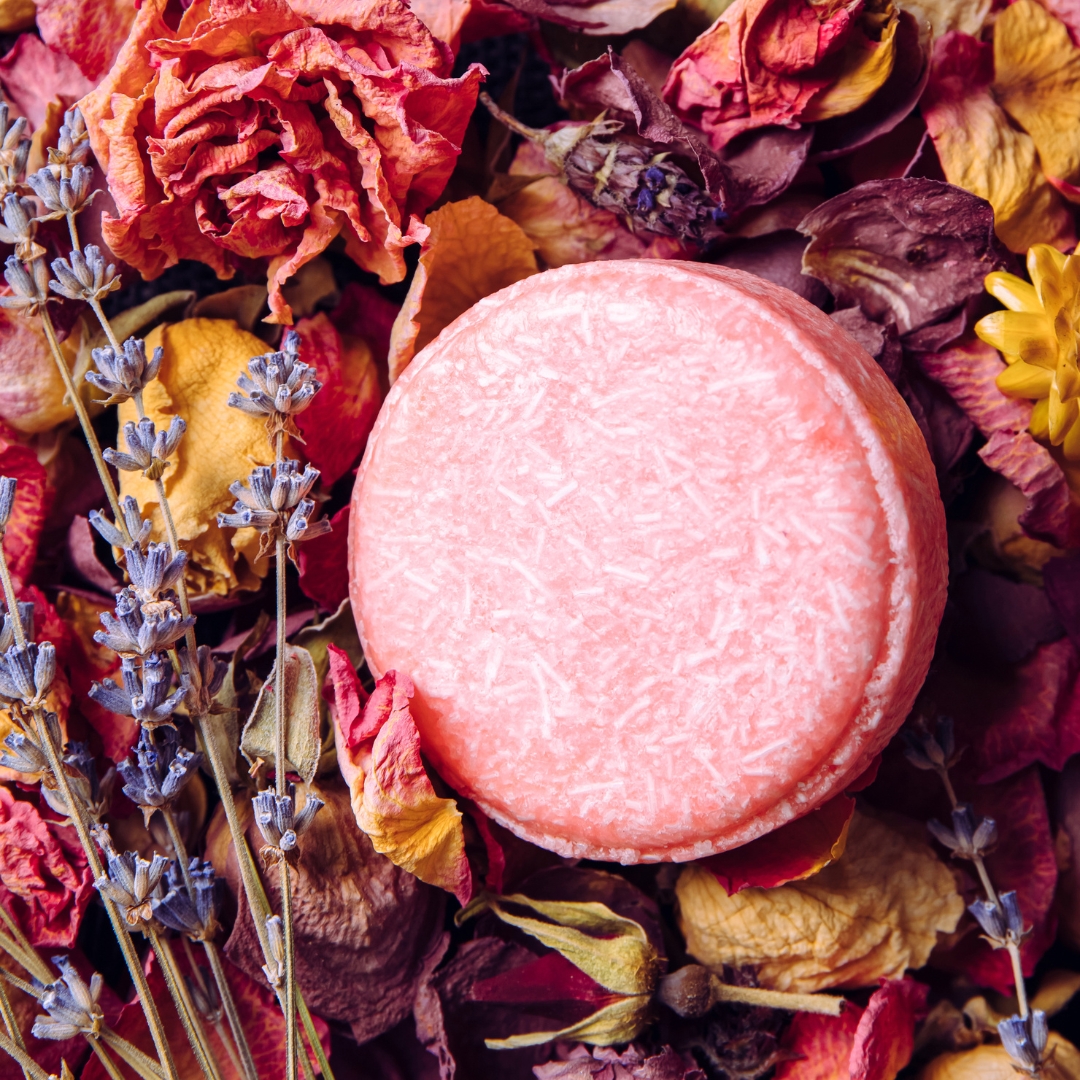 Champôs Sólidos: Pequenos no Tamanho, Grandes no Impacto Champôs Sólidos: Pequenos no Tamanho, Grandes no Impacto