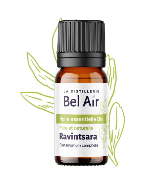 Óleo Essencial Bio Ravintsara Óleo Essencial Bio Ravintsara