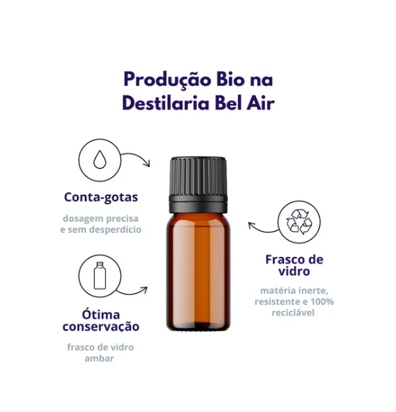 Óleo Essencial Bio Ravintsara Óleo Essencial Bio Ravintsara