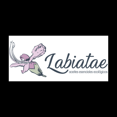 Labiatae