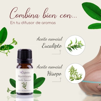 https://www.aldeiasabao.com/product/oleo-essencial-de-ravintsara-canfora-bio