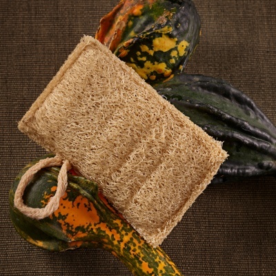 Esponja de luffa para a loiça