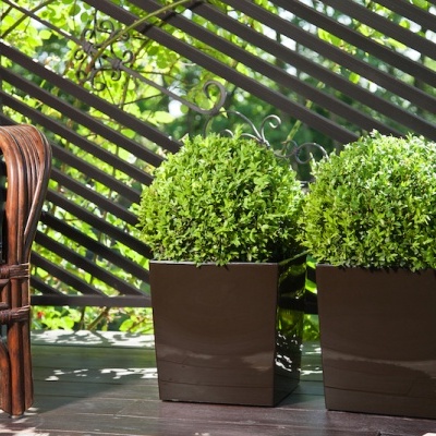 VASO SHINNY 30*30*30