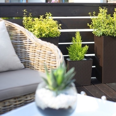 VASO RATTAN 30*30*30