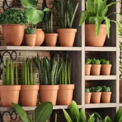 VASO  BARRO STANDARD