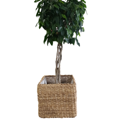 Vaso Cesto Quadrado 30x30cm