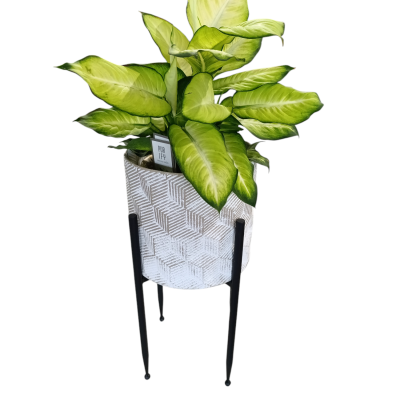 Vaso Latão Ouro/Branco  com Suporte