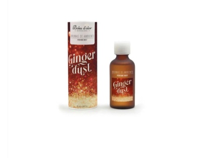 Bruma de ambiente 50ml  ginger dust