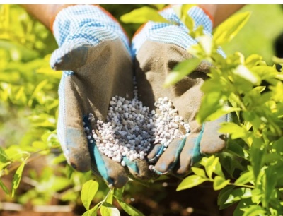 Adubos e Fertilizantes