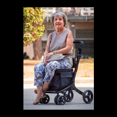 Andarilho e carrinho de compras - Forum