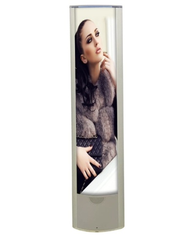 Sistema Anti Furto Acústico Magnético