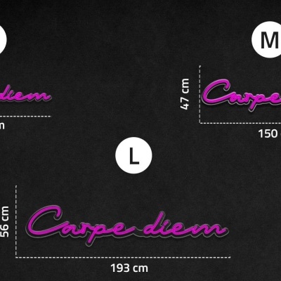 NeonLED | Carpe Diem NeonLED | Carpe Diem