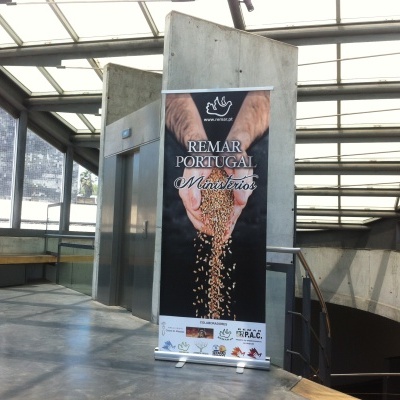 Roll-UP | 85x200cm