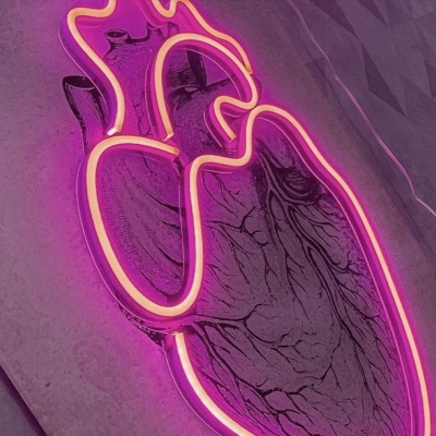 NeonLED | Acrílico Impresso Coração