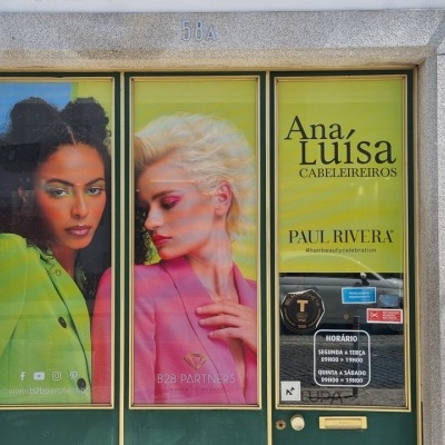 Vinil Microperfurado