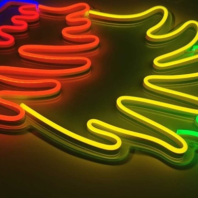 NeonLED | Asas de Anjo