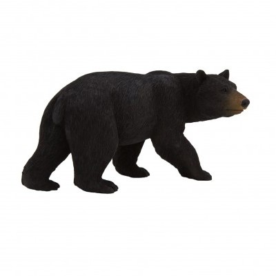 Urso Preto - L