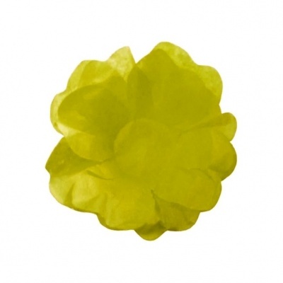 Forminhas flor de seda Verde Pistachio