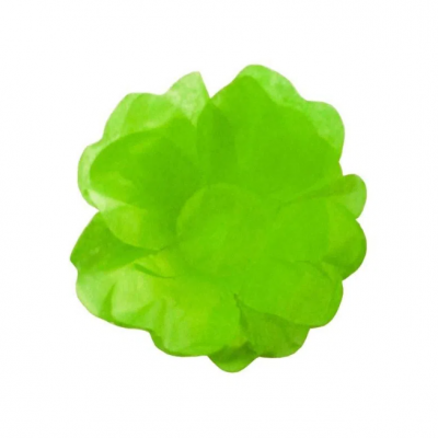 Forminhas flor de seda Verde Lima